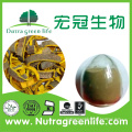 Treatment of epidemic cerebrospinal meningi herbal medicine Chinese Corktree Bark Extract Golden cypress powder price negotiable
